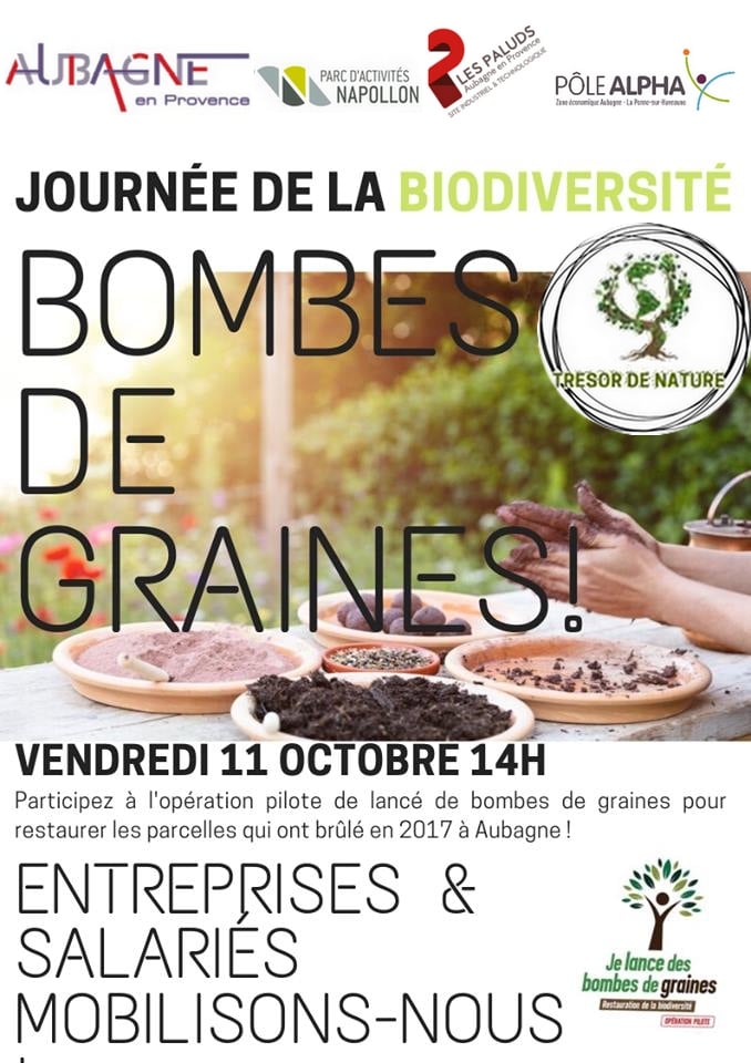 Bombe de graines