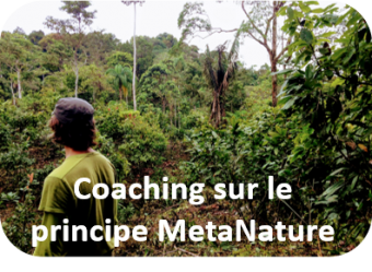 Coaching nature 1
