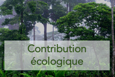 Contribution e cologique