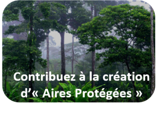 Creation aires protegees