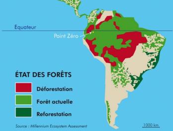 De forestation