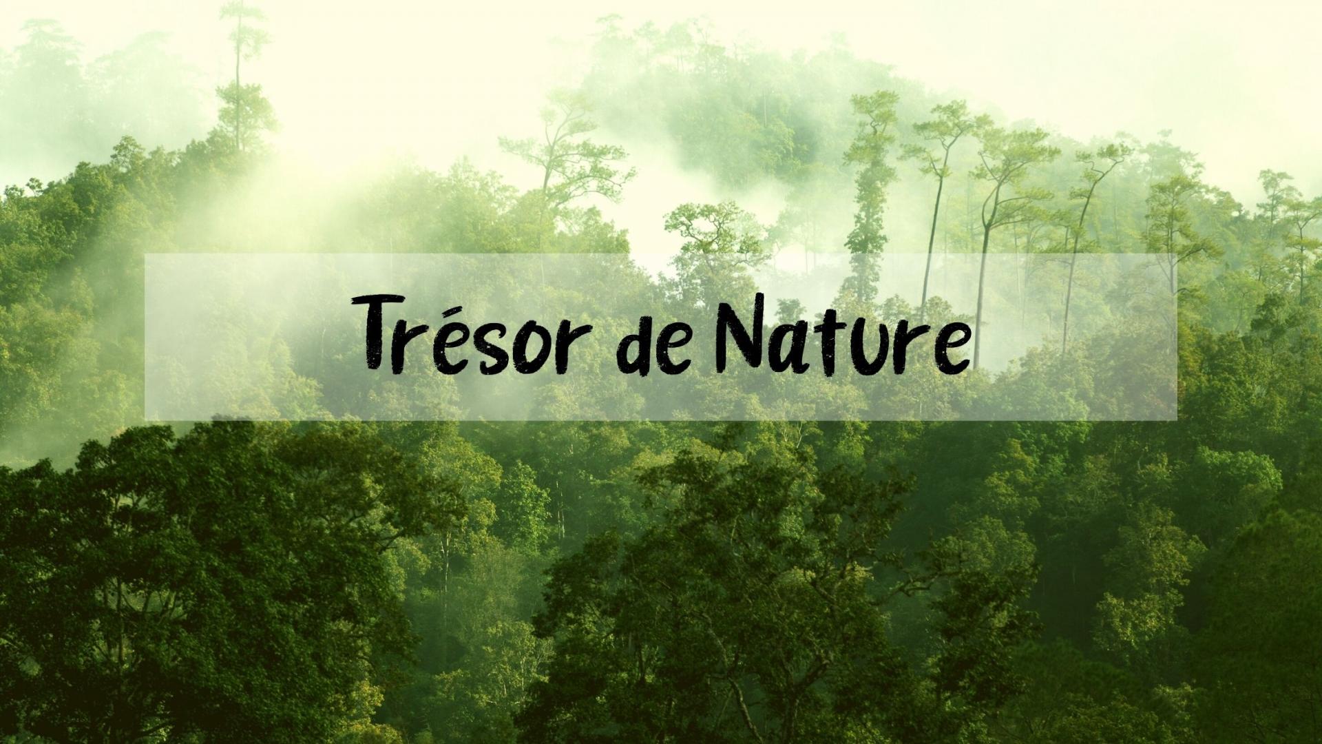 TRESOR DE NATURE