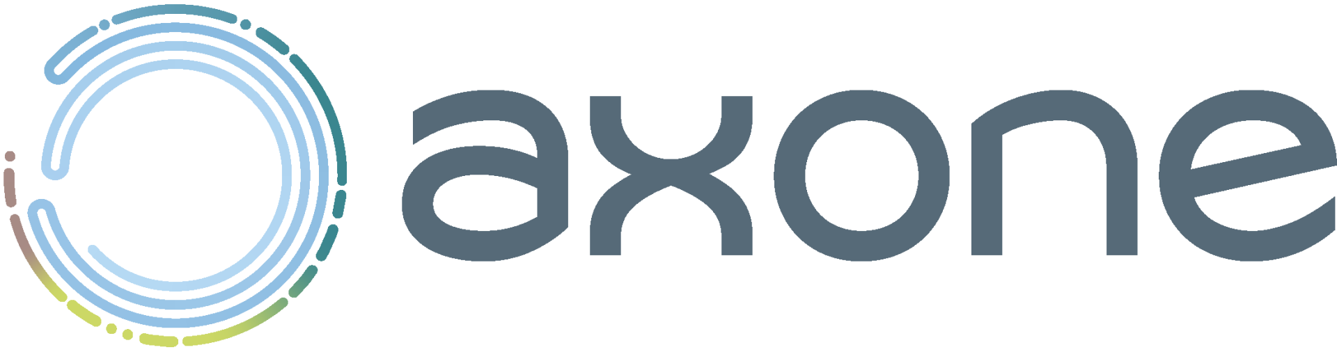 Logo axone group horizontal rvb 1