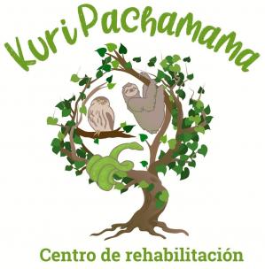 Logo kuri pachamama