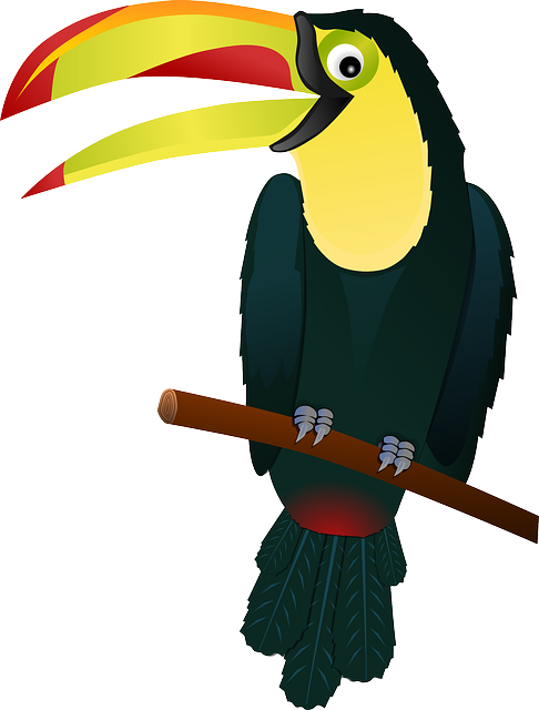 Toucan 154521 640