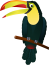 Toucan 154521 640